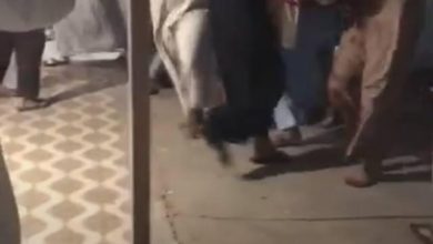 ACF78094 DF92 4CFB 8E99 AC5416EF3C3F