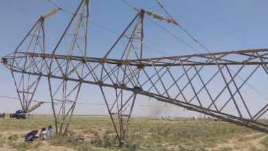 AD7974DD 7835 4976 BDAD 22377F9E664A