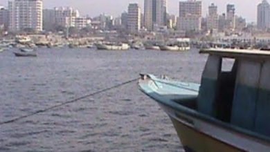 AE0EDB12 A88E 43AC AE5C B44FB60DCF91