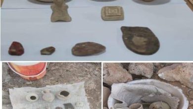 B2EE3217 3B69 4A18 AF83 A162E4A3DD1E