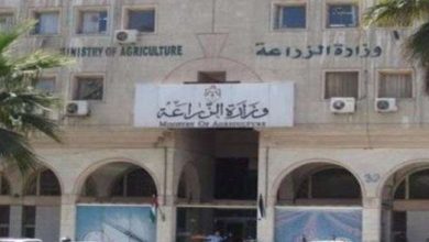 B52D0C9F F6A1 44A5 B0F7 DD2124A1DE6B