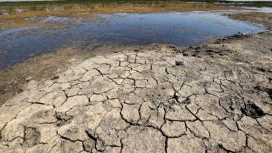 C60849D0 C176 4DF5 B2EE 646924764FBC