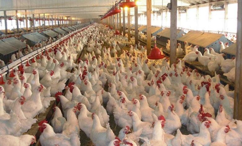 C69DA661 E90A 459F A7FA 69918B534AB8