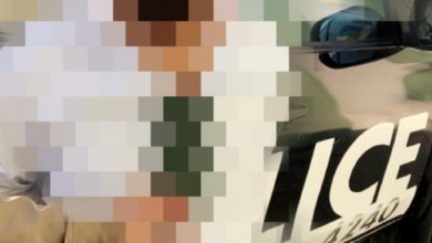 D3493CAE 1F7B 4318 B393 465983D14B1F