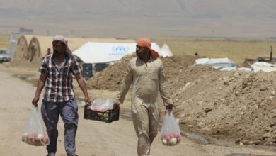 D38677C4 BFBE 4F6D 8409 F20BE96A0835