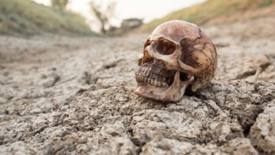 D52D7CF7 0E06 4786 A88C B4046FBE1879