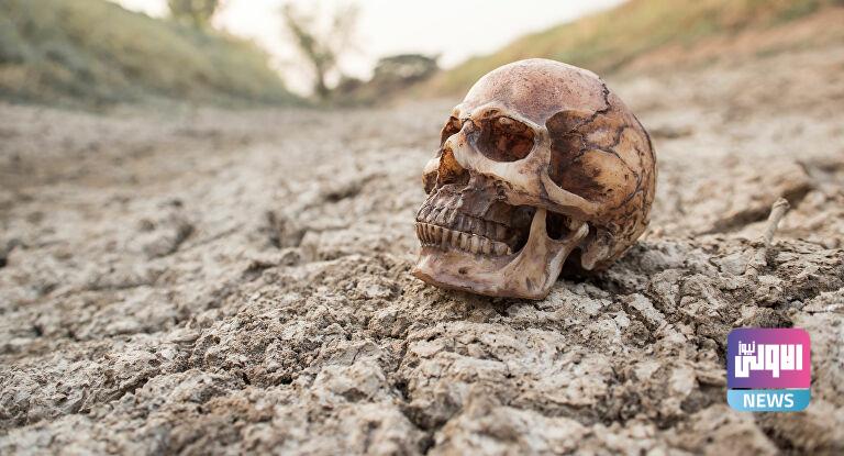 D52D7CF7 0E06 4786 A88C B4046FBE1879