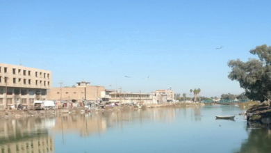 D9BC3706 3C90 49A2 A67F 62DAFB7BCA97