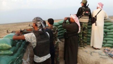 DBAD2A87 24CD 4C0B 9413 0648F21C7D1C