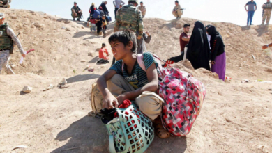 DBBF4E39 30D0 49EA BC68 FD9F358139D1