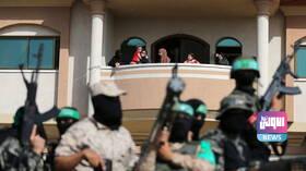 DD50E141 AF8A 456C BA4F 8C6A385301E9