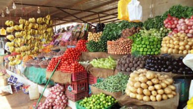 DFE401B4 1429 4AB9 B15C 9E73004B2BA1