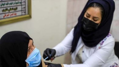 E1194E69 3D91 4D65 A375 D30680183139