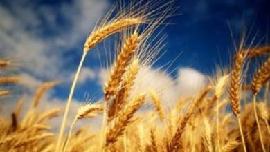 E15D517B 26A3 4FBF A439 F8695E6A86B0