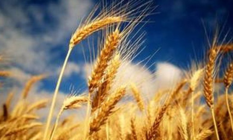 E15D517B 26A3 4FBF A439 F8695E6A86B0