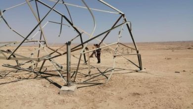 E5F263A0 F82E 450B 8B95 DE295E7778D3