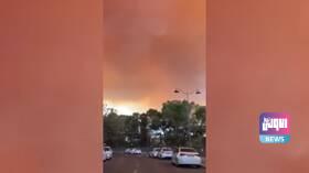 E6101E47 A791 40FC 9B5F 9CEB74CE8CB5