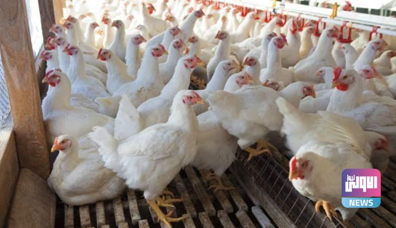 E63895A8 59CC 4823 ACC2 BD7E310B03E4