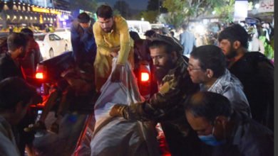 EE5882A3 3141 44EE B273 5A724D74B347