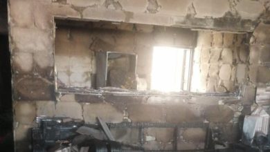 EF0AD85F 874C 407F AEB8 C5FF26A7D735