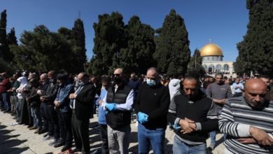 F48A4931 DE76 4284 82CE DB8B1B6E3C55