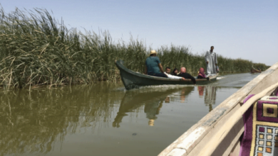 F6E2F8CC B588 47D6 B9AB 5BCA337BD8E2