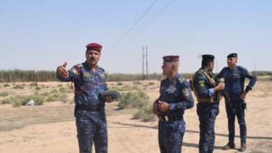 F8E9D855 FFF3 4A95 8B46 20D0D04272F9