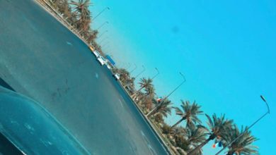 FA0A8D26 EA97 4C00 A1F6 01974598ED23