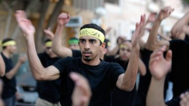 FBB2B56D 50FF 4746 9966 0F8AE3BDB0EA