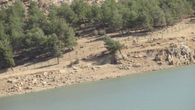 FB IMG 1628590441793