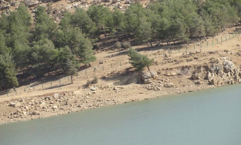 FB IMG 1628590441793