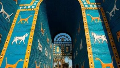 FB IMG 1630233152770