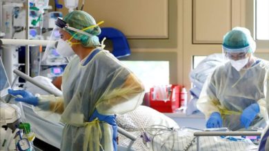 IMG ٢٠٢١٠٨٠٣ ١١١٦٠٤