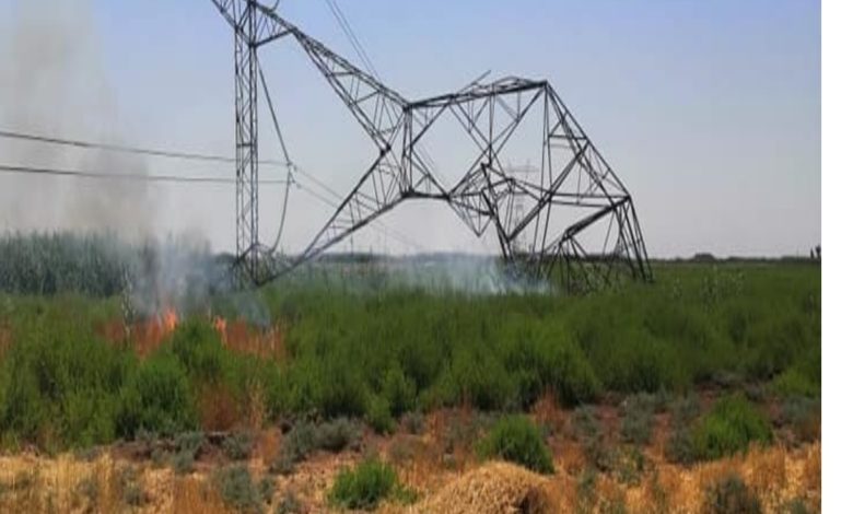 IMG ٢٠٢١٠٨١٠ ١٨٣٠١٩