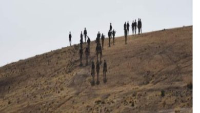 IMG ٢٠٢١٠٨١٤ ١٦١٨٤٧