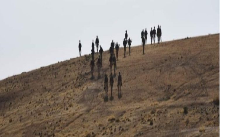 IMG ٢٠٢١٠٨١٤ ١٦١٨٤٧