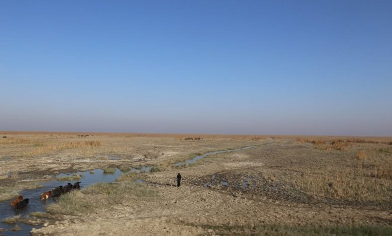 Specials pollution pollution in Iraq fanack flickr UNEP