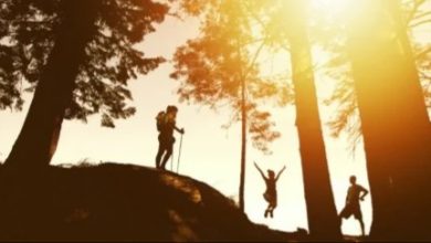 ٢٠٢١٠٨٢٥ ٢٣٢١٤٧