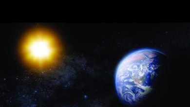 056176E5 07BF 40A3 A731 74E384C55894