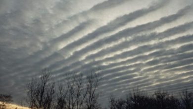 الأسبوع المقبل .. أول حالة جوية ممطرة خلال الخريف في هذه المناطق 4 05FF34A2 E802 40AE 8A66 779C400DACC4