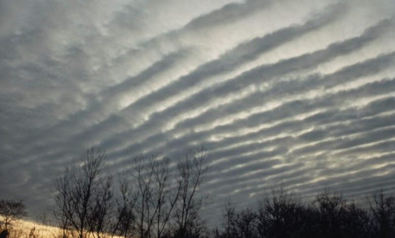 05FF34A2 E802 40AE 8A66 779C400DACC4