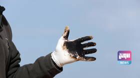 0E85A17E EF92 49E7 9E58 E156413948C8