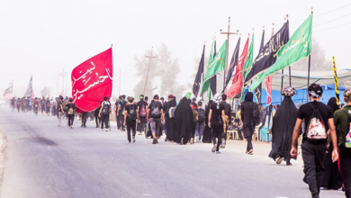 1020B9D1 ABC7 4E13 B41D 49A00F2B21E8