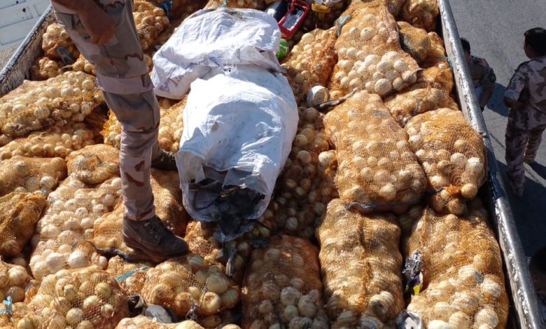 10692021 541b1199 9ed0 4601 a3b9 da8829daa31a