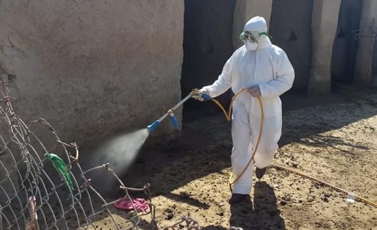 162092021 وزارة الزراعة 1