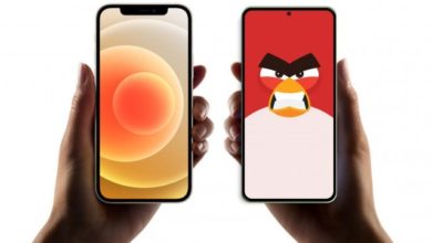 1743AE4C 585F 43FC 8076 D398721E796A