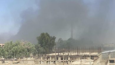 1BFD2390 1D09 4562 AB46 DE2992339454