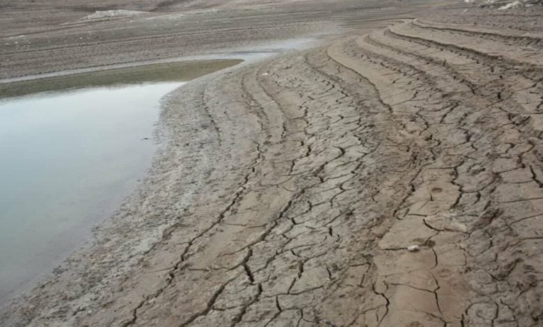 1E05043E 6551 4B8B 8D11 8A271F52611E