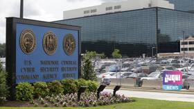 290378E0 7C32 456B B64B 11A8FA7C42DA