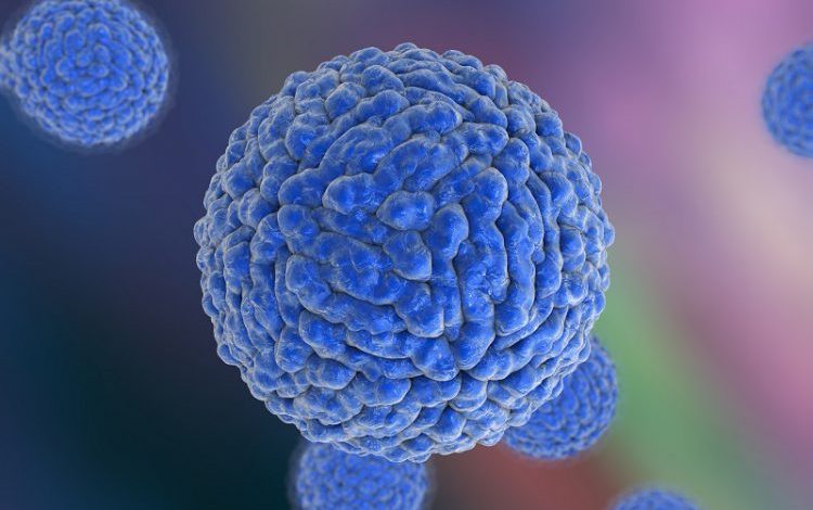 3BC89946 FFA4 4BC8 B7E2 527AD283BBF6